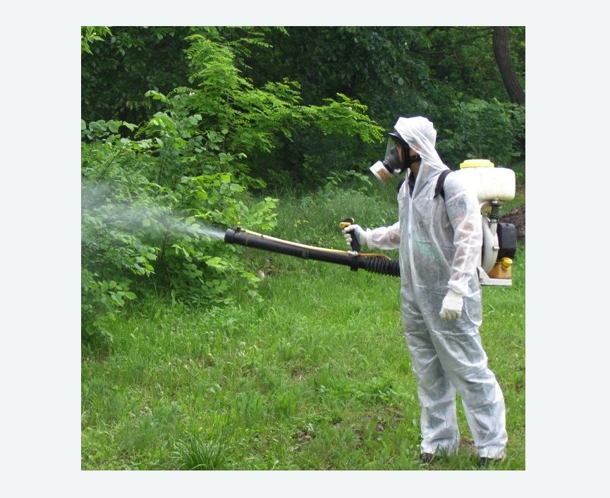 обработка территории от клещей в Теберде