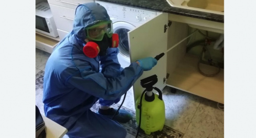 Уничтожение муравьев в квартире. Теберда