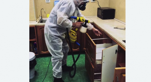 Уничтожение насекомых в квартире. Теберда