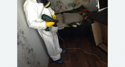 Обработка квартир от насекомых в Теберде