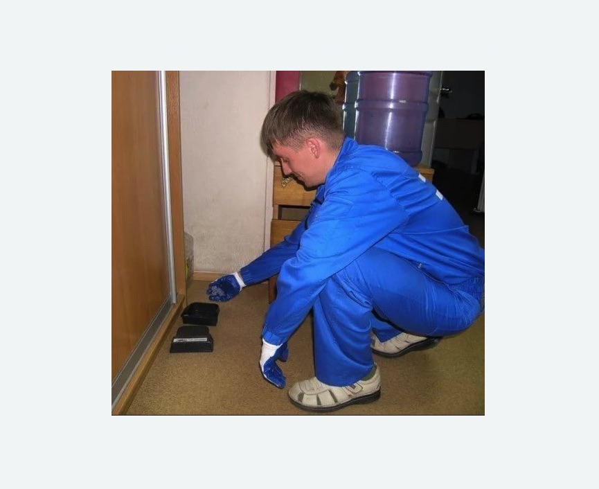 Дератизация крыс Дератизация крыс в Теберде