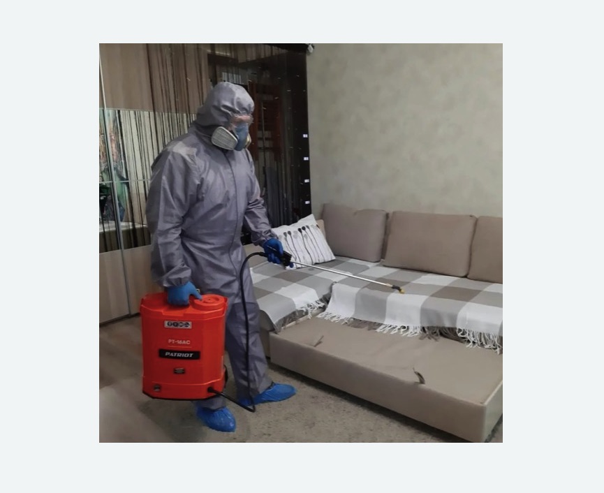 Обработка квартиры от блох в Теберде Обработка квартиры от блох