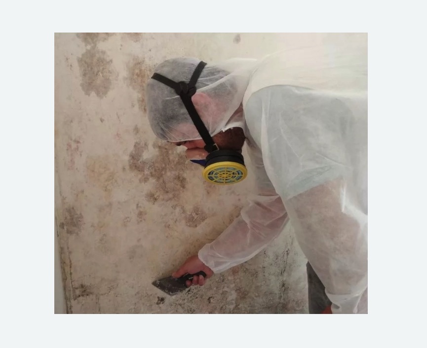Обработка стен от плесени в Теберде