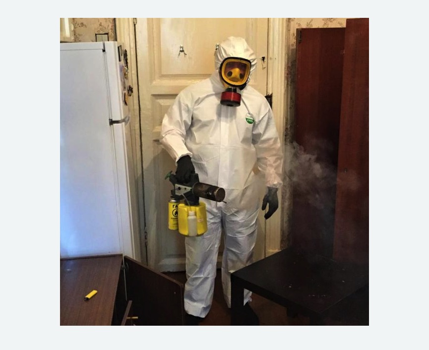 уничтожение муравьев в квартире уничтожение муравьев в квартире в Теберде